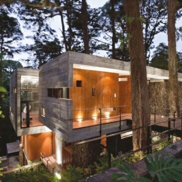 Casa e alberi, abitare con un tronco in soggiorno